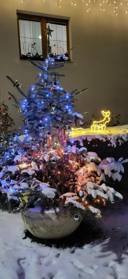 Hotel Privat Nika Závažná Poruba Exteriér fotografie